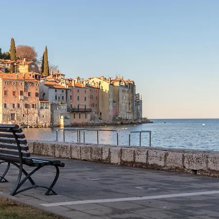 Guest house Orbanic 3*
