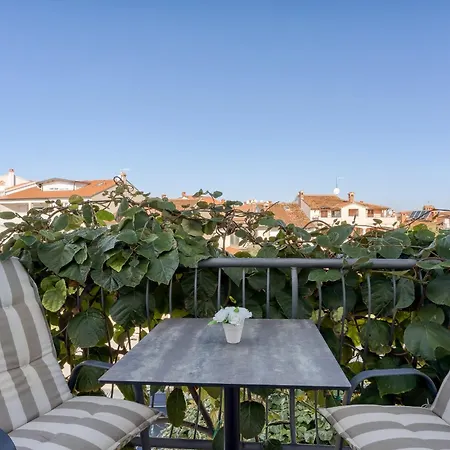 בית הארחה Orbanic 3*